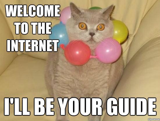 welcome+to+the+internet+this+cat+will+be+your+guide+_6adac715c9116d64be189ff15ef62012.jpeg